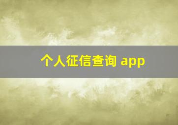 个人征信查询 app